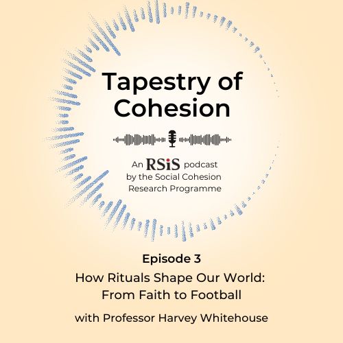 USE THIS Tapestry of Cohesion Official Logo Art (1)