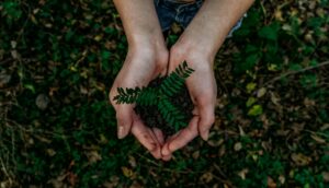 Source: Unsplash