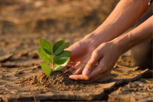 Peter Govindasamy PR SM preview